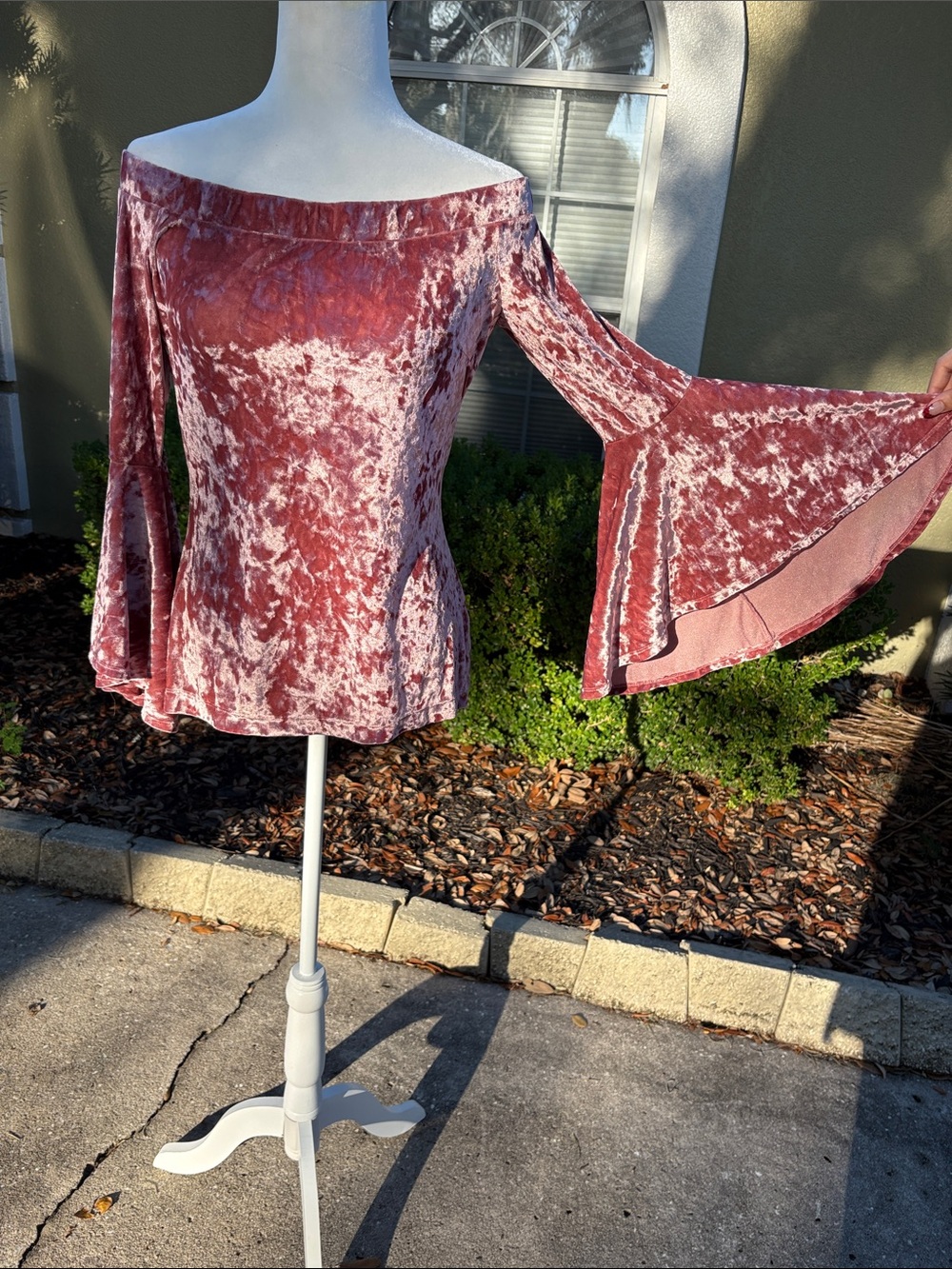 Venus Off-Shoulder Velvet Burnout Top in Dusty Rose
